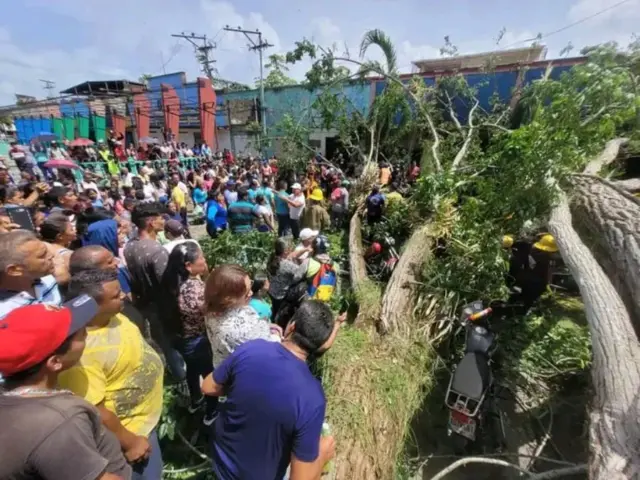 Dos muertos y varios heridos tras la caída de un árbol en Tucupita