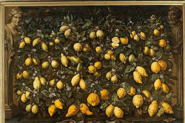 Todos los limones del mundo están escondidos en un solo jardín