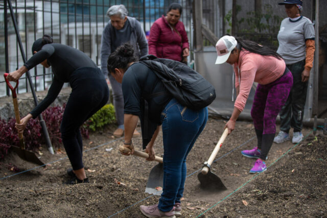 Número de venezolanos en Ecuador desciende a cerca de 445.000