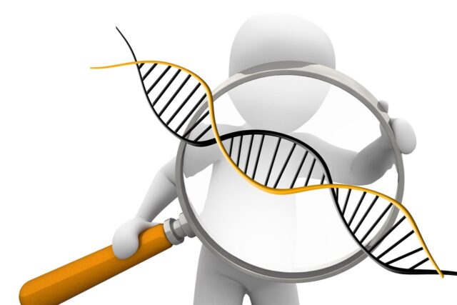 Según la ciencia, el sexo biológico no es binario