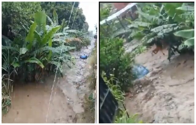 Fuertes lluvias causan estragos en varios estados de Venezuela