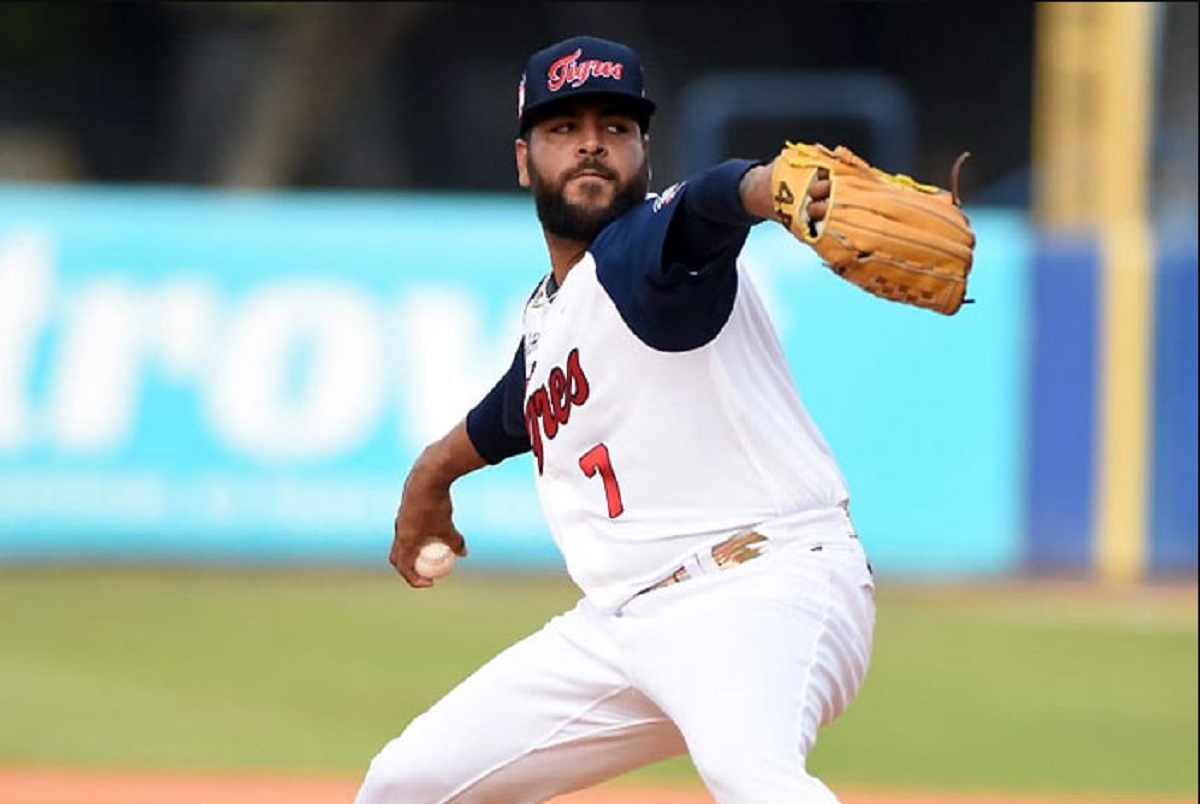 Tigres y Tiburones