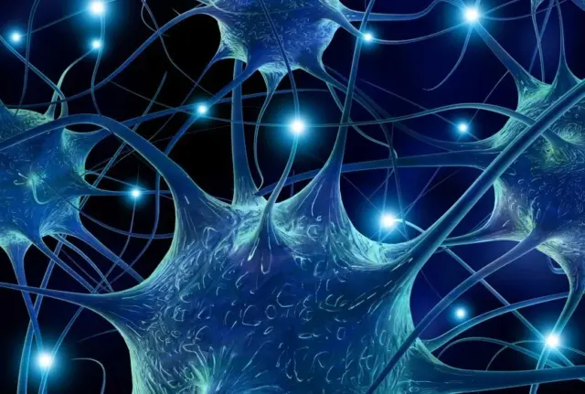 El contagio emocional libera serotonina y los traumas fomentan la resiliencia
