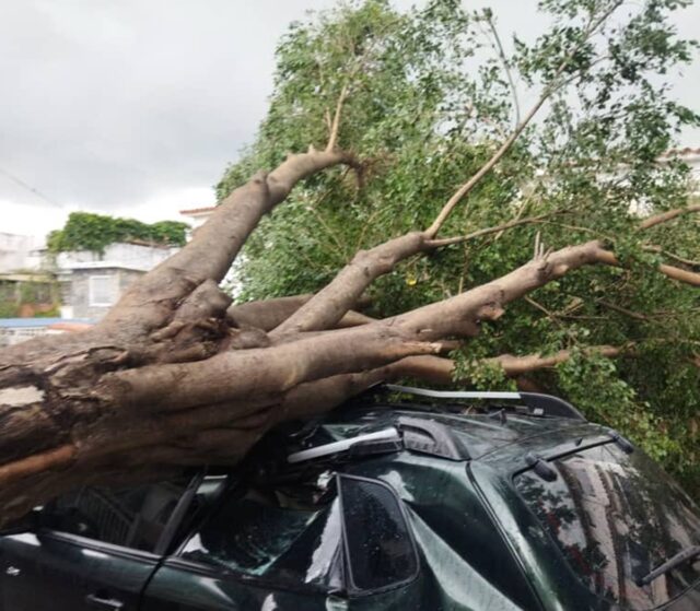Lluvias en la Gran Caracas causaron destrozos: árboles caídos, vías anegadas, granizo y fallas eléctricas