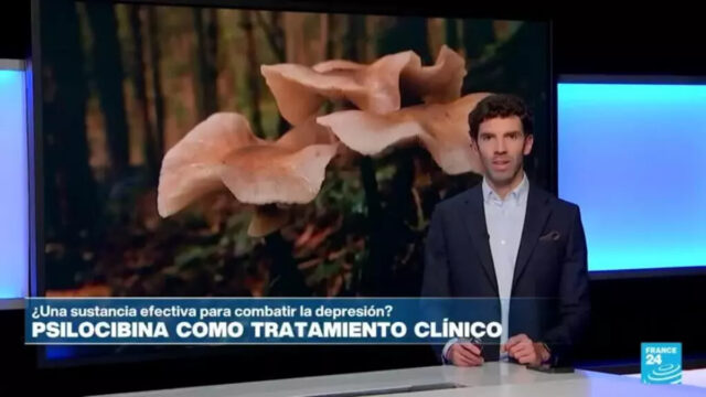 ¿Qué tan efectivo es el tratamiento con psilocibina para combatir la depresión?