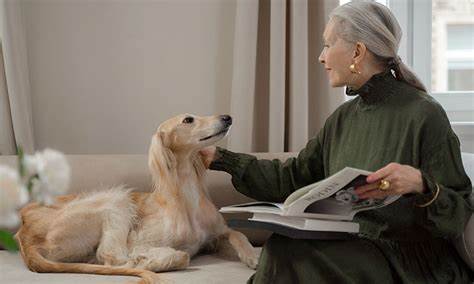 Hablándoles más despacio, los perros entienden mucho mejor