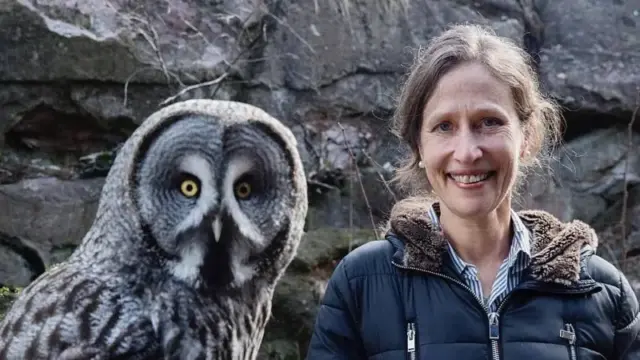 Qué hace que los búhos sean unas aves tan formidables (según una de las expertas que mejor los conoce)