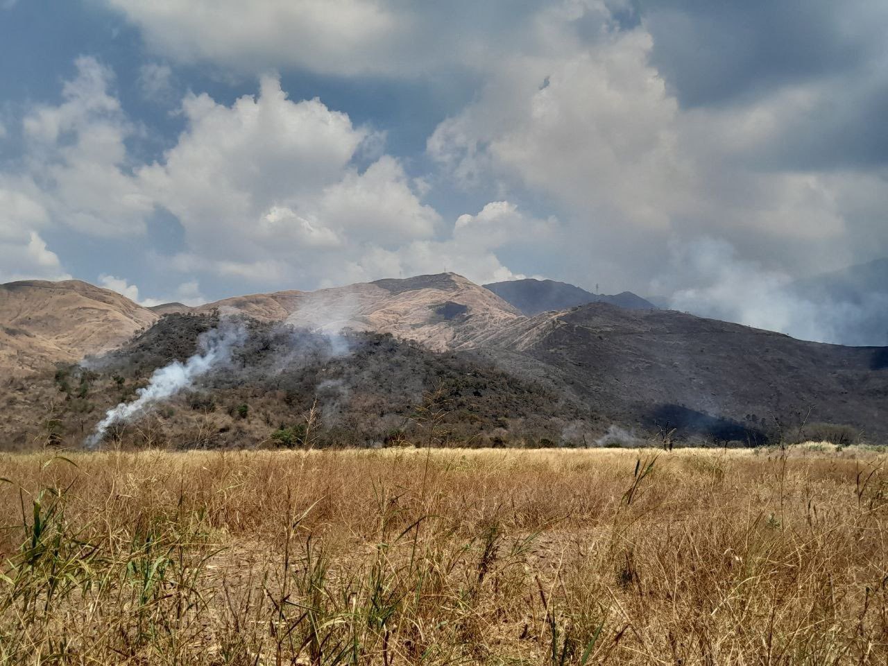 Incendio