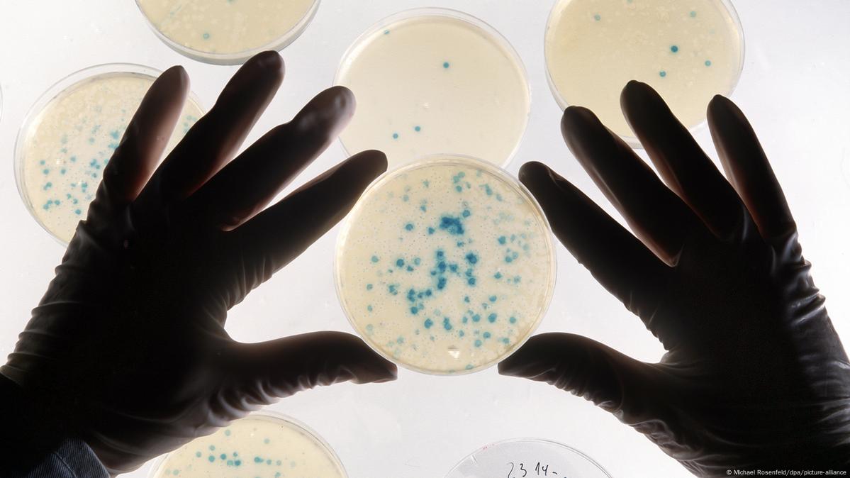 Bacterias modificadas chinas atacan tumores con luz infrarroja