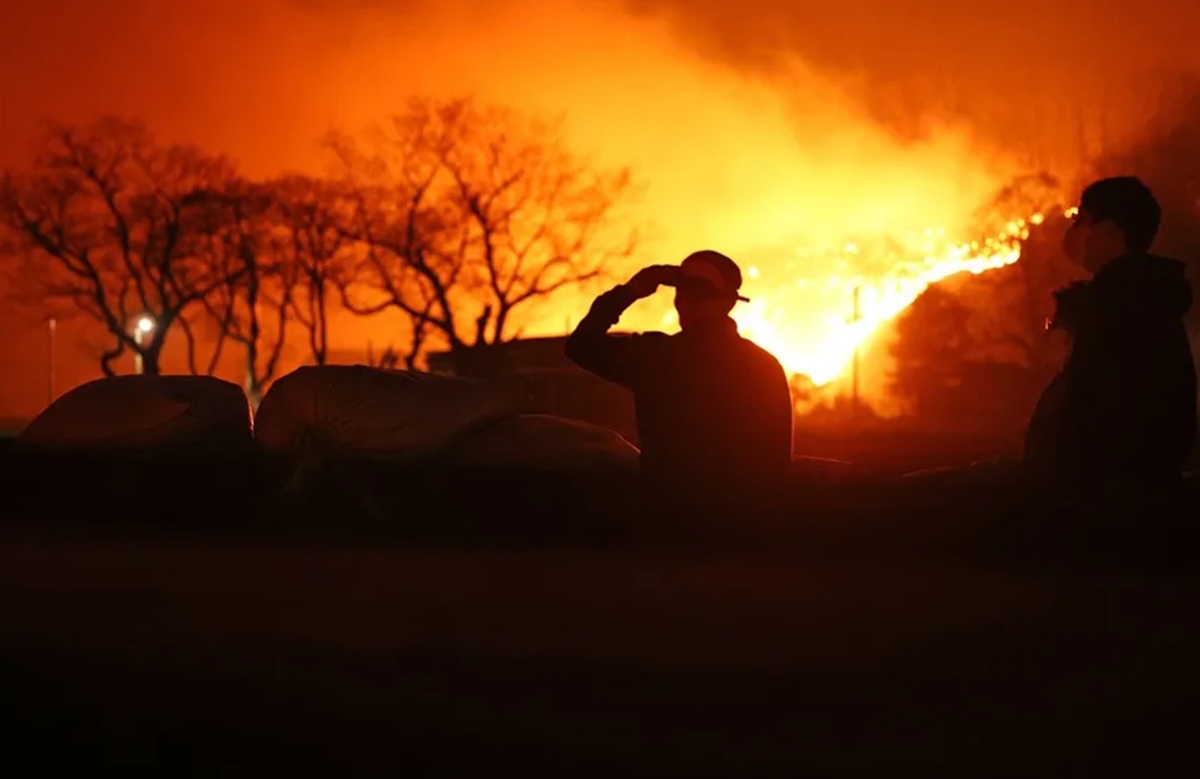 incendios forestales en Corea del Sur