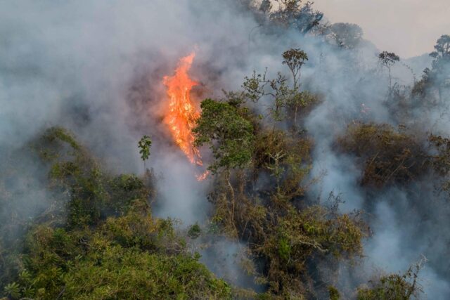 Venezuela registró más de 20 incendios forestales en menos de una semana