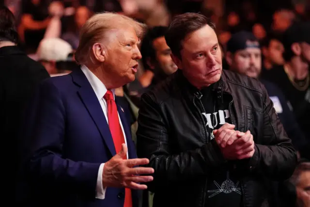 ¿Elon Musk planea dejar el gobierno?: lo que respondió Trump