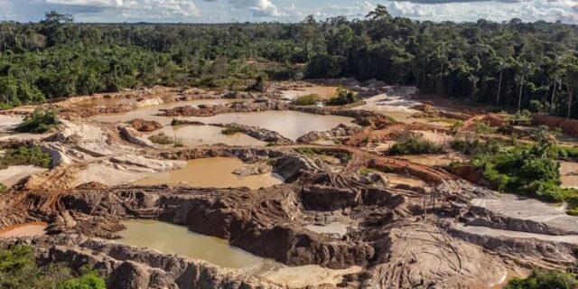 Arrestan a cinco personas en Bolívar por "minería ilegal y la depredación ambiental"
