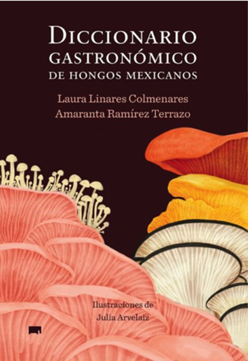 Entrevista a Laura Linares, autora del Diccionario gastronómico de hongos mexicanos